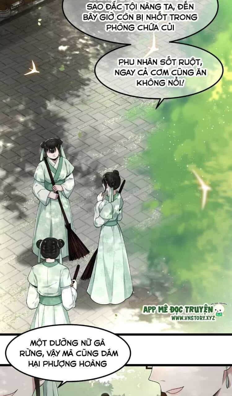 Phượng Hoàng Vu Phi - Chương 27 - ảnh 9