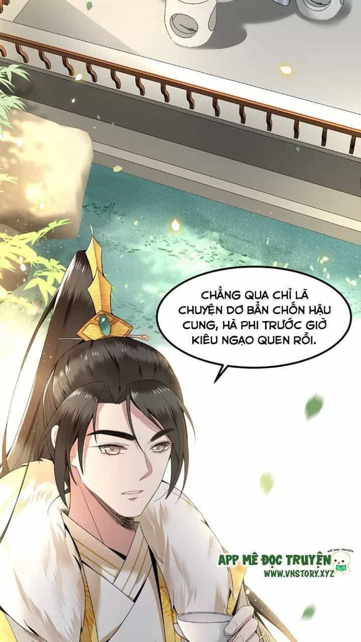 Phượng Hoàng Vu Phi - Chương 37 - ảnh 6
