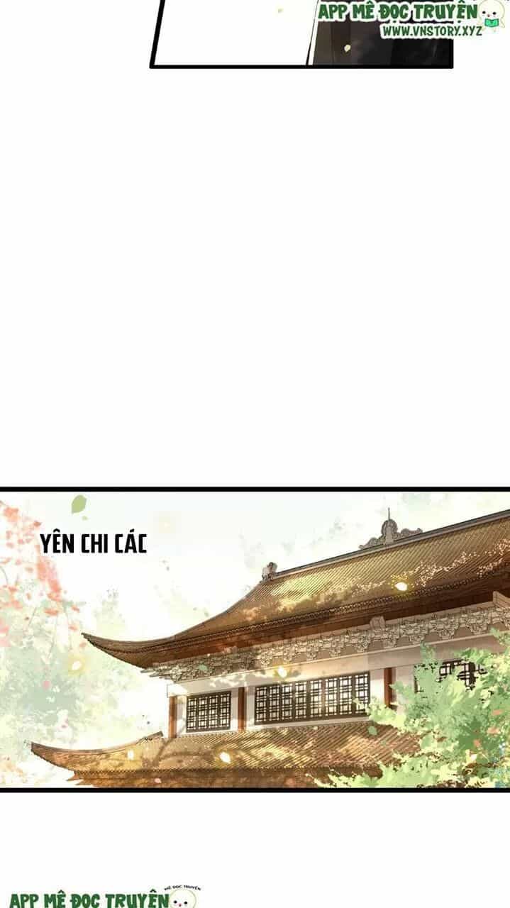 Phượng Hoàng Vu Phi - Chương 40 - ảnh 11