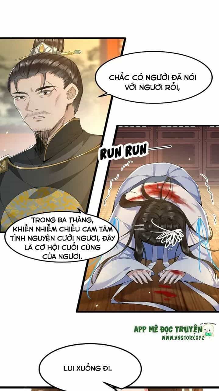 Phượng Hoàng Vu Phi - Chương 40 - ảnh 8
