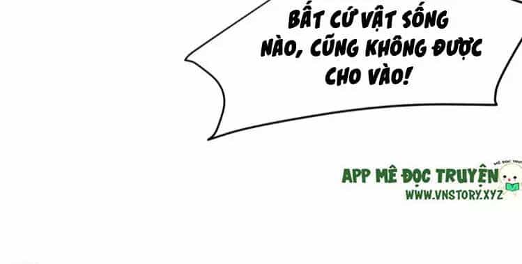 Phượng Hoàng Vu Phi - Chương 4 - ảnh 52