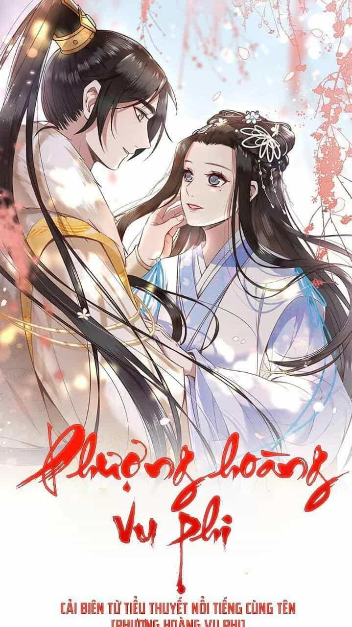 Phượng Hoàng Vu Phi - Chương 41 - ảnh 1