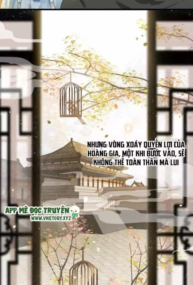 Phượng Hoàng Vu Phi - Chương 5 - ảnh 35