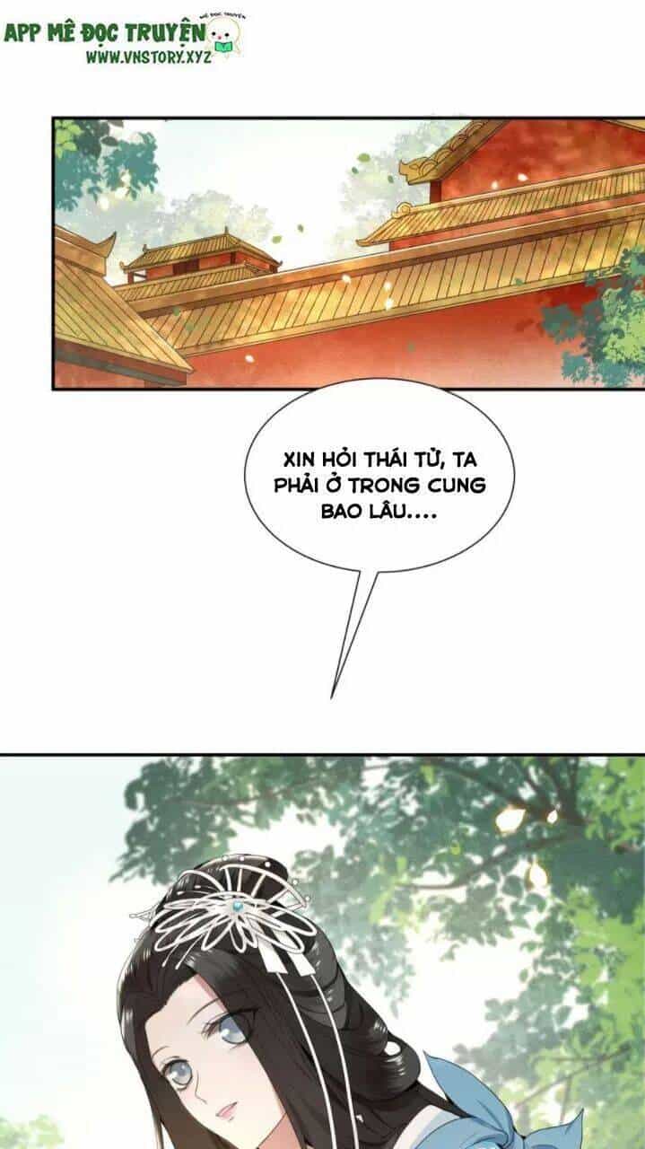 Phượng Hoàng Vu Phi - Chương 69 - ảnh 15