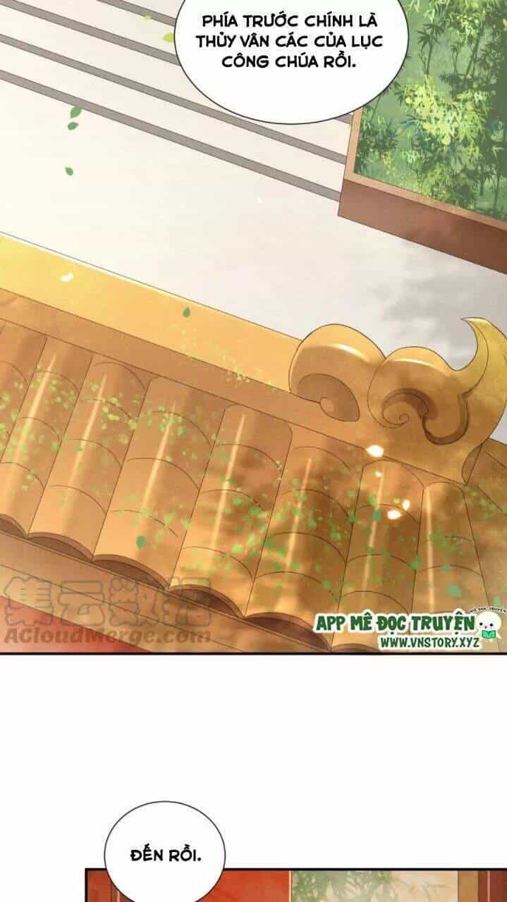 Phượng Hoàng Vu Phi - Chương 69 - ảnh 20