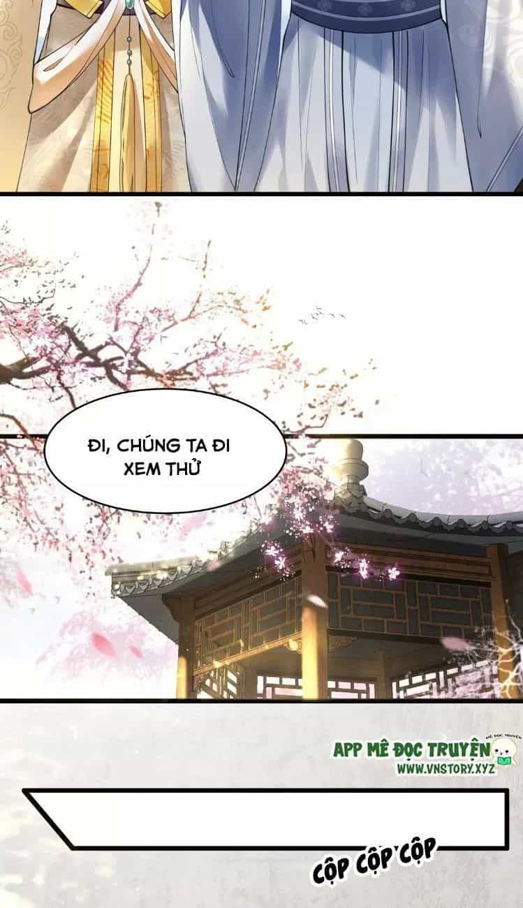 Phượng Hoàng Vu Phi - Chương 7 - ảnh 4