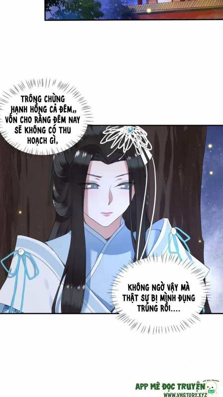 Phượng Hoàng Vu Phi - Chương 71 - ảnh 16