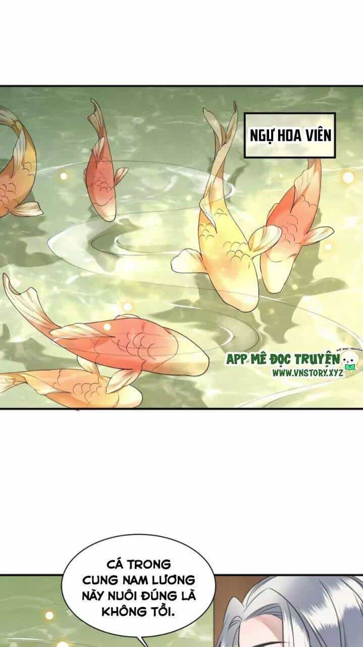 Phượng Hoàng Vu Phi - Chương 76 - ảnh 30