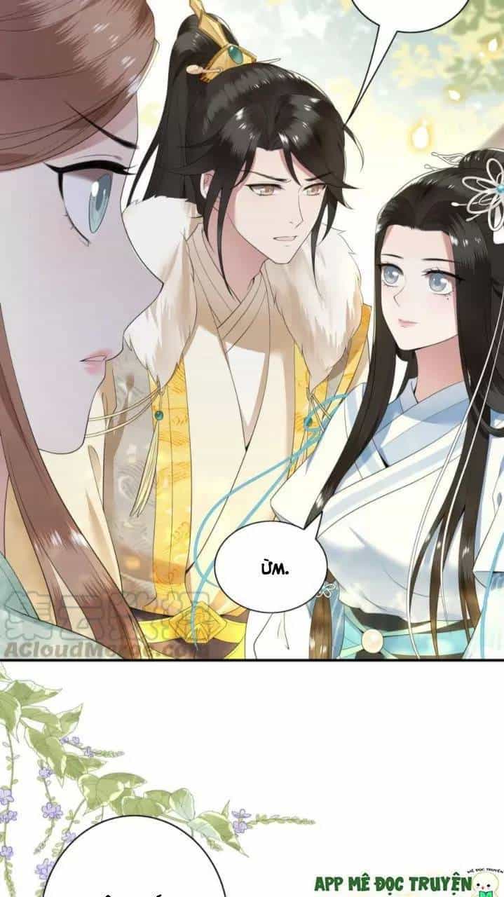 Phượng Hoàng Vu Phi - Chương 81 - ảnh 24