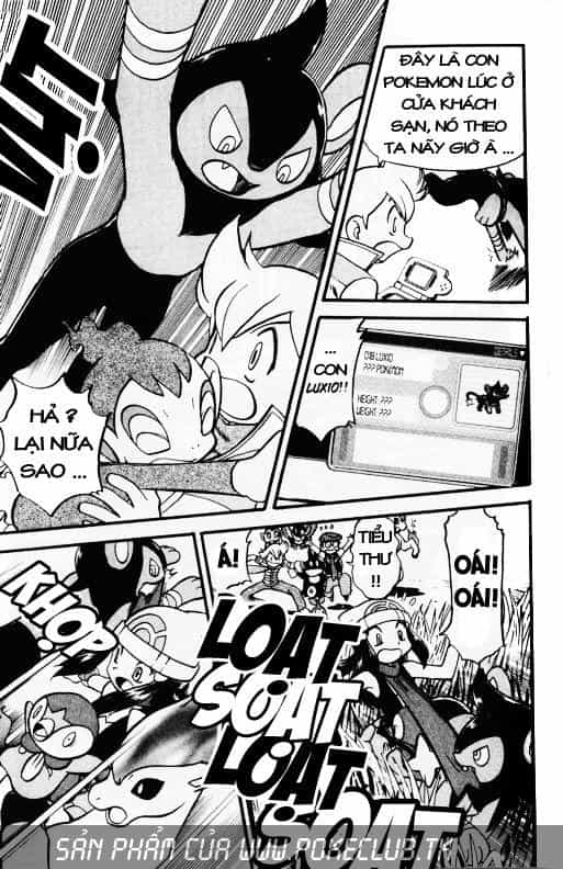 Pokemon Special - Chương 340 - ảnh 11