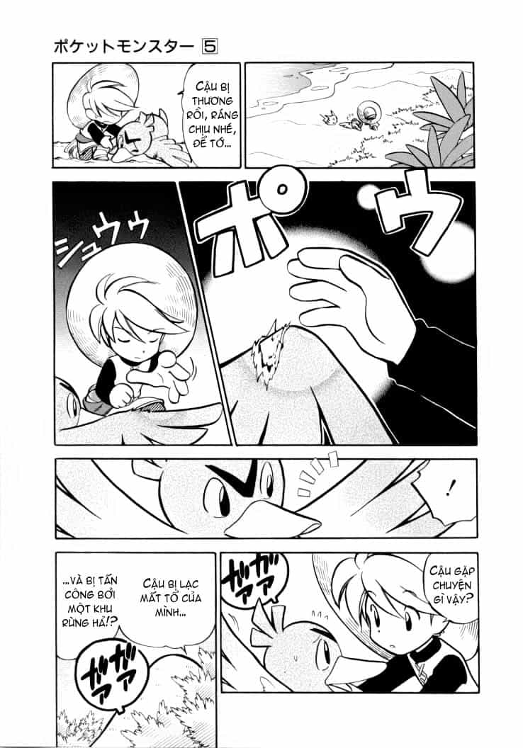 Pokemon Special - Chương 63 - ảnh 4