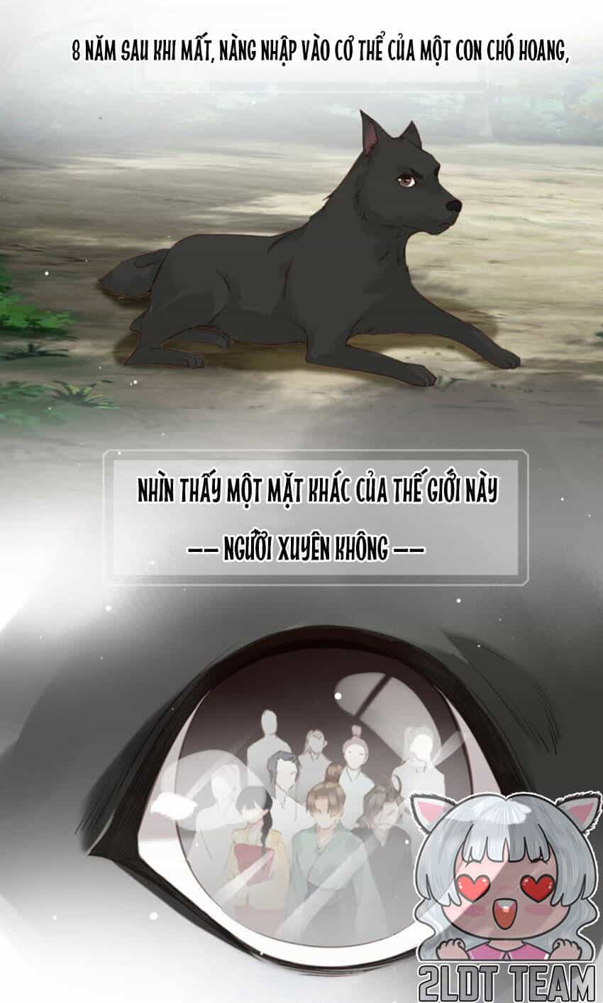 Quận Chúa Bất Tư Gia - Chương 174 - ảnh 6