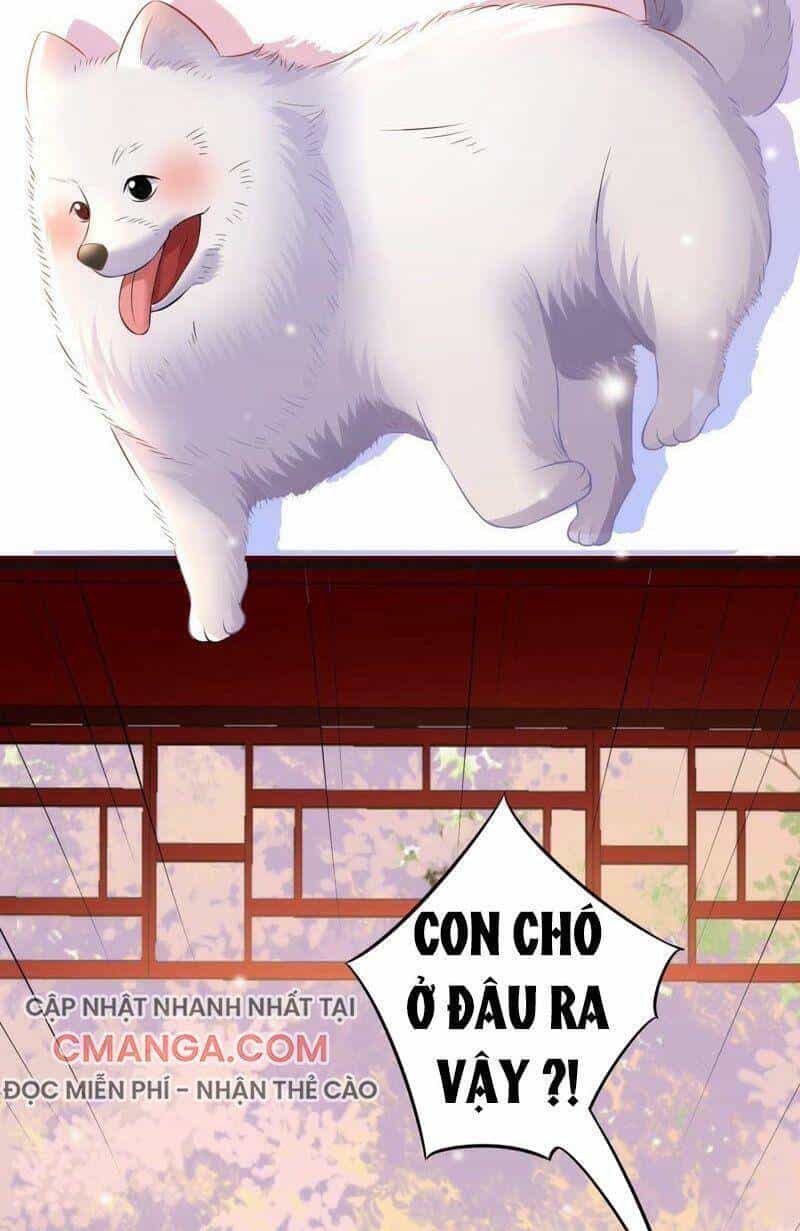 Quận Chúa Vững Vàng, Thiết Lập Nhân Vật Không Thể Vỡ - Chương 55 - ảnh 14