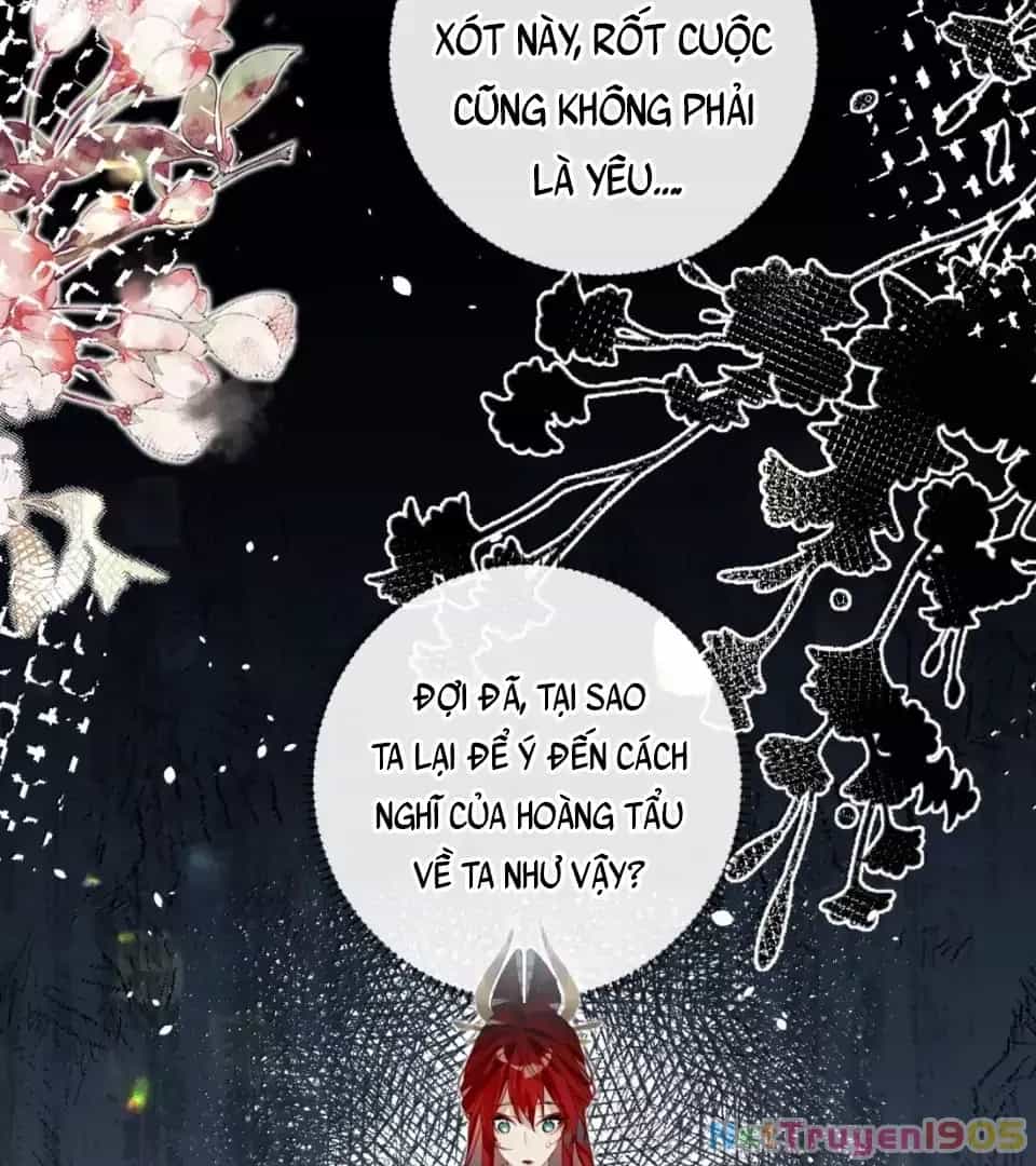Quấn Quýt - Chương 20 - ảnh 35