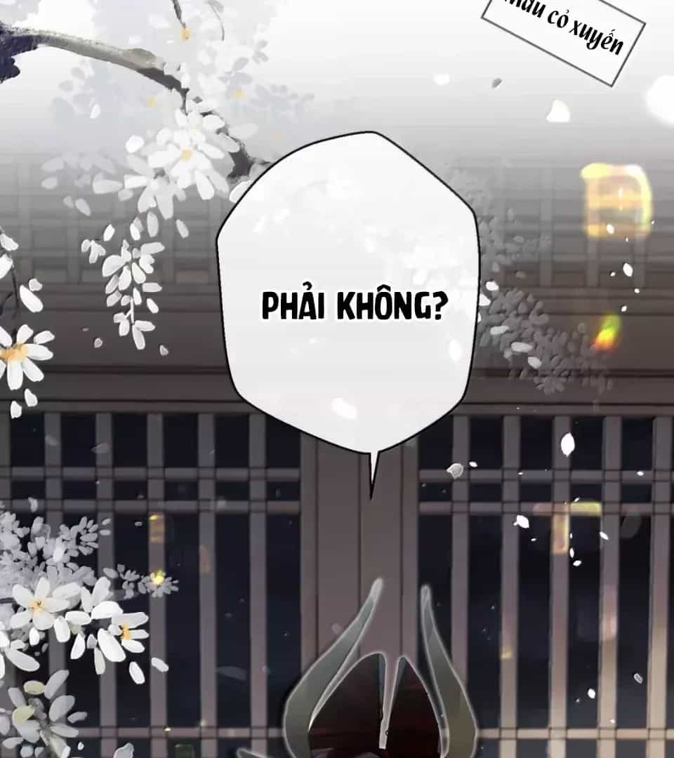 Quấn Quýt - Chương 20 - ảnh 5