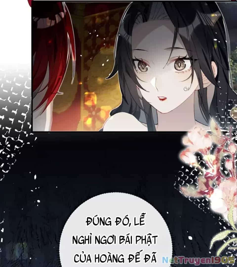 Quấn Quýt - Chương 20 - ảnh 66