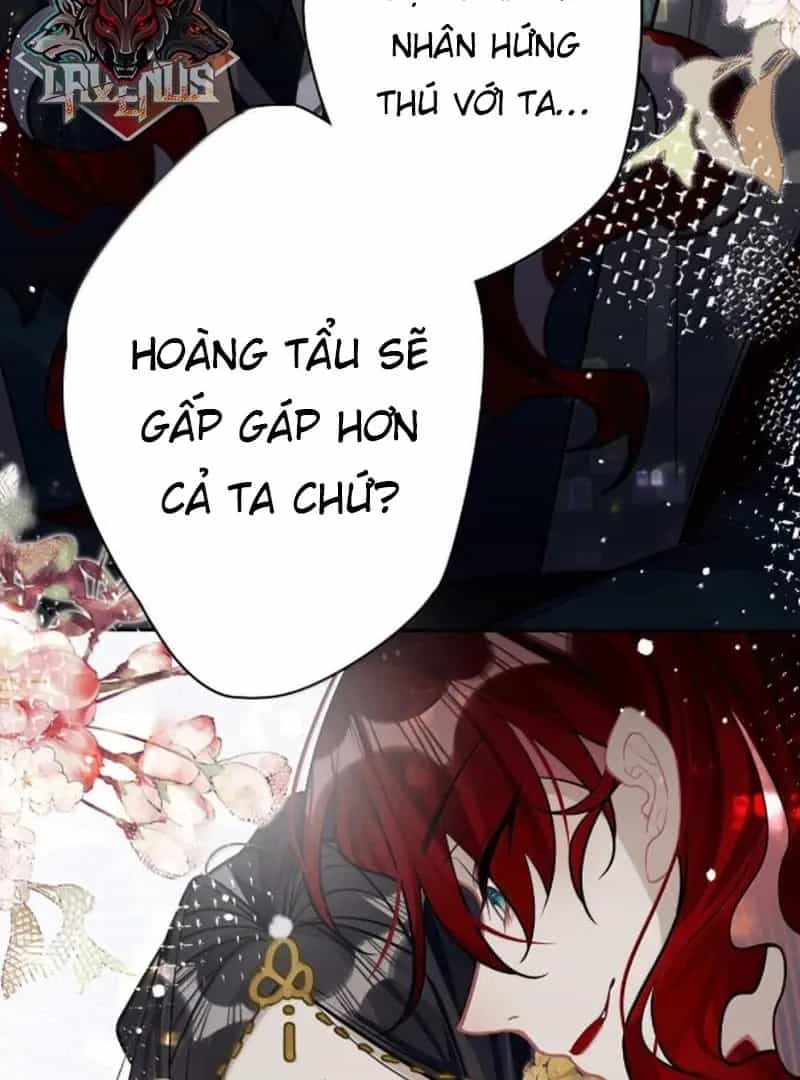 Quấn Quýt - Chương 29 - ảnh 5