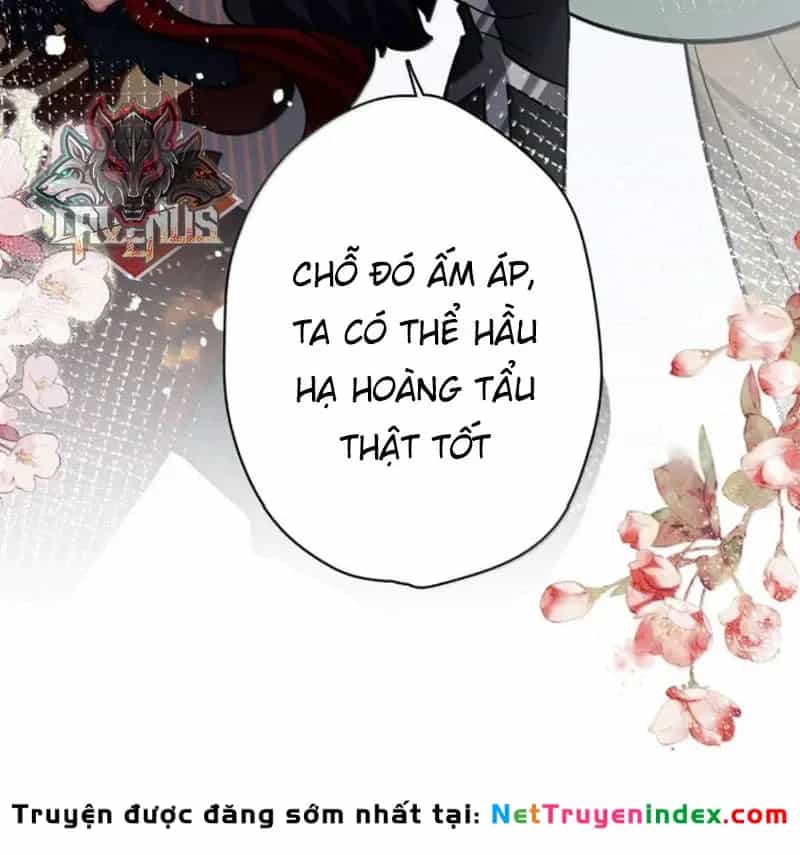 Quấn Quýt - Chương 32 - ảnh 14