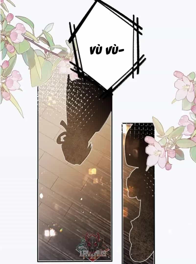 Quấn Quýt - Chương 36 - ảnh 7