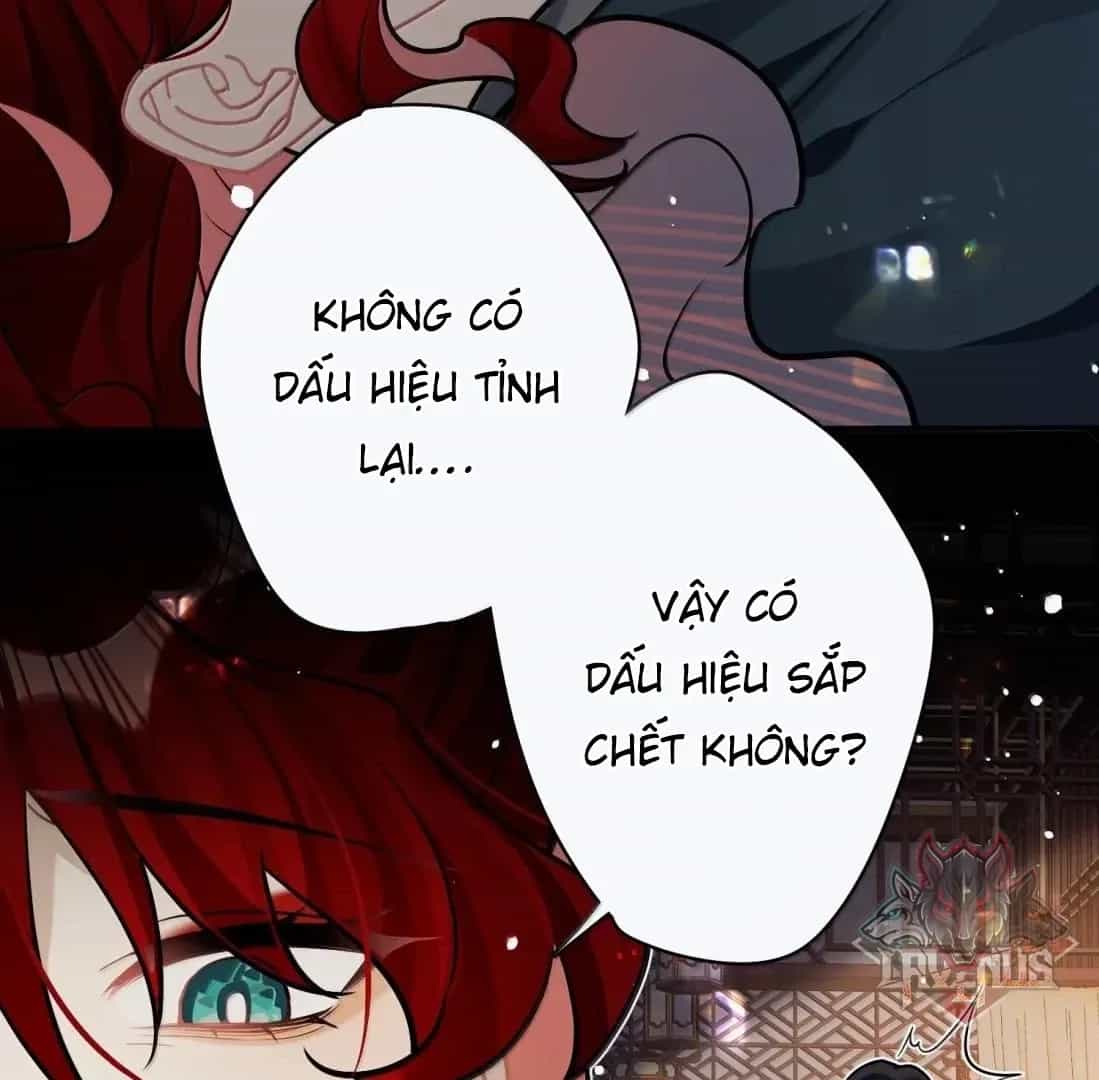 Quấn Quýt - Chương 38 - ảnh 56