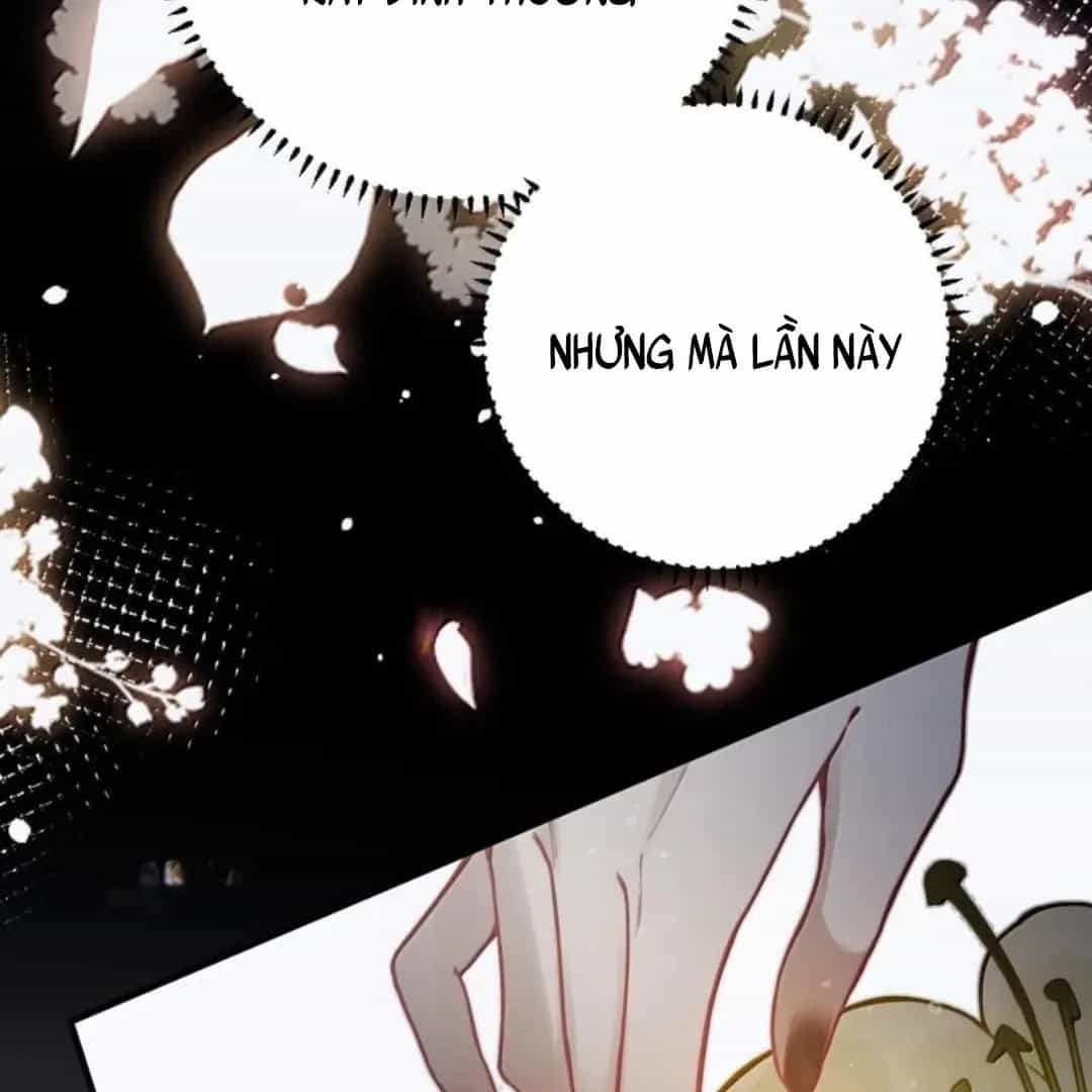 Quấn Quýt - Chương 39 - ảnh 7