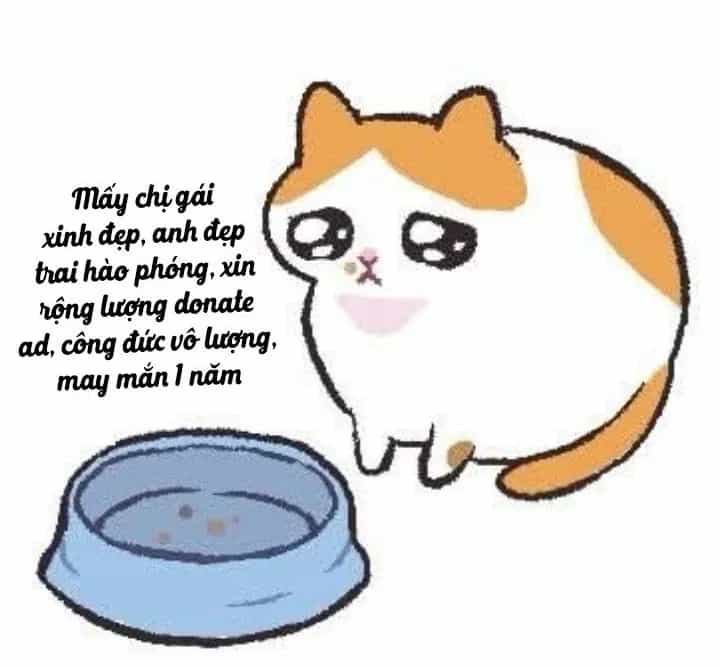 Quấn Quýt - Chương 78 - ảnh 31