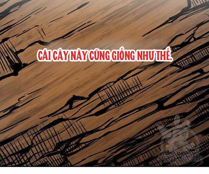 Quán Trọ Phong Ba - Chương 21 - ảnh 146