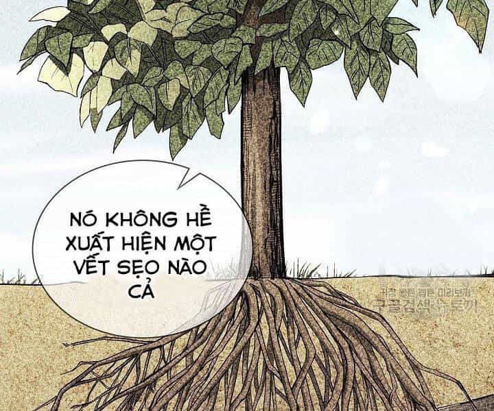 Quán Trọ Phong Ba - Chương 21 - ảnh 72