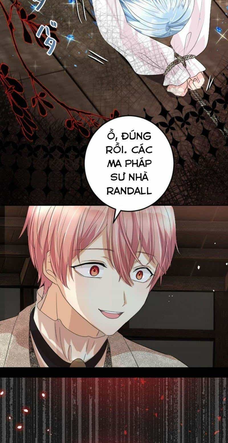 Quý Cô Không Rơi Nước Mắt - Chương 12 - ảnh 43