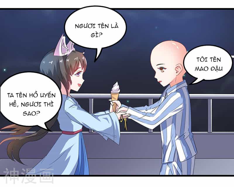 Quy Luật Năm Bản Mệnh Của Hồ Ly - Chương 2 - ảnh 4