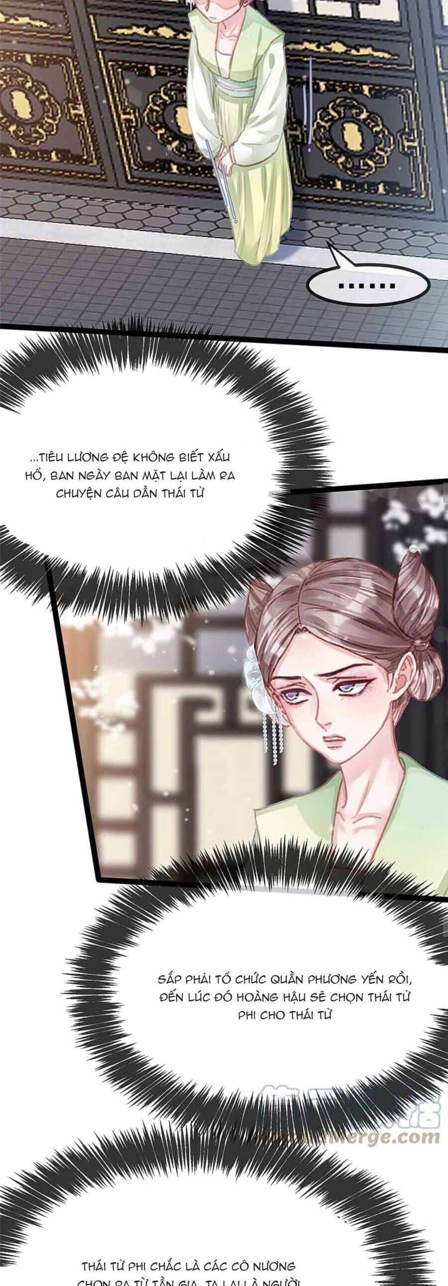 Quý Phi Muốn Trở Thành Con Cá Mặn Mòi - Chương 90 - ảnh 15