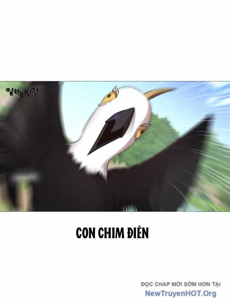 Ra Mắt Hay Ra Đi - Chương 81 - ảnh 3