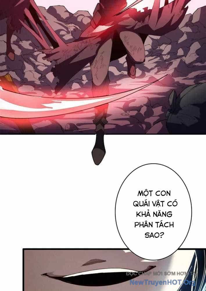 Ranker Sss Được Chọn - Chương 22 - ảnh 41