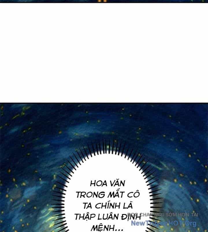 Ranker Sss Được Chọn - Chương 28 - ảnh 13