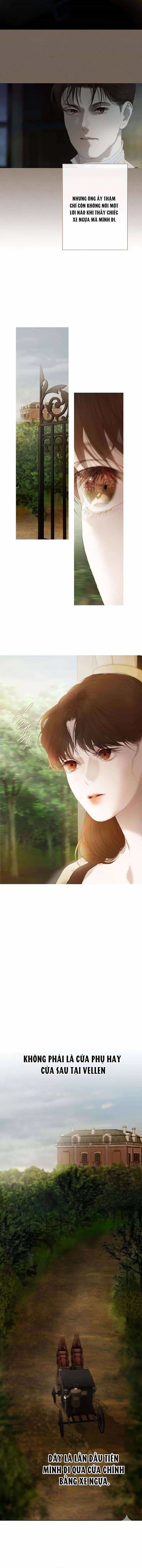 Rừng Chanh - Chương 17 - ảnh 9
