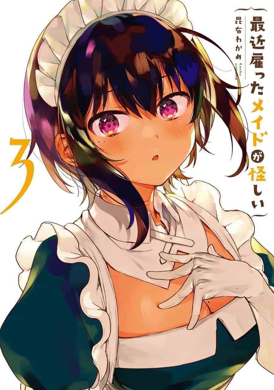 Saikin Yatotta Meido Ga Ayashii - Chương 25 - ảnh 2