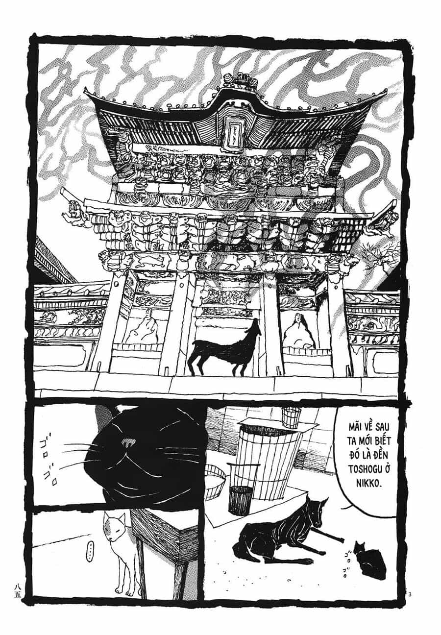 Samurai Kiếm Tre - Chương 35 - ảnh 4