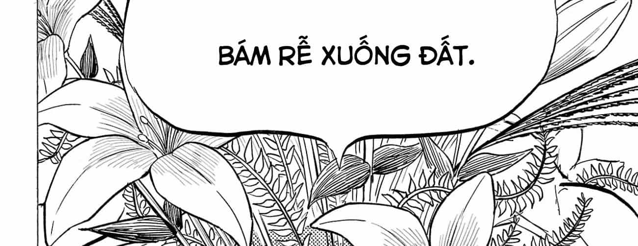 Sanda - Chương 89 - ảnh 12