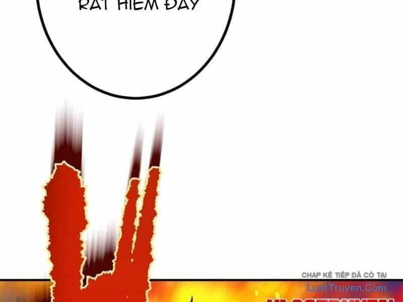 Sát Thủ Mạnh Nhất Chuyển Sinh Sang Thế Giới Khác - Chương 113 - ảnh 133