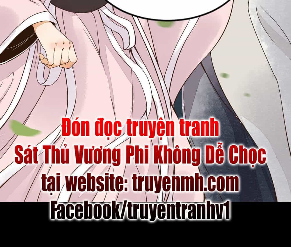 Sát Thủ Vương Phi Không Dễ Chọc - Chương 1 - ảnh 25