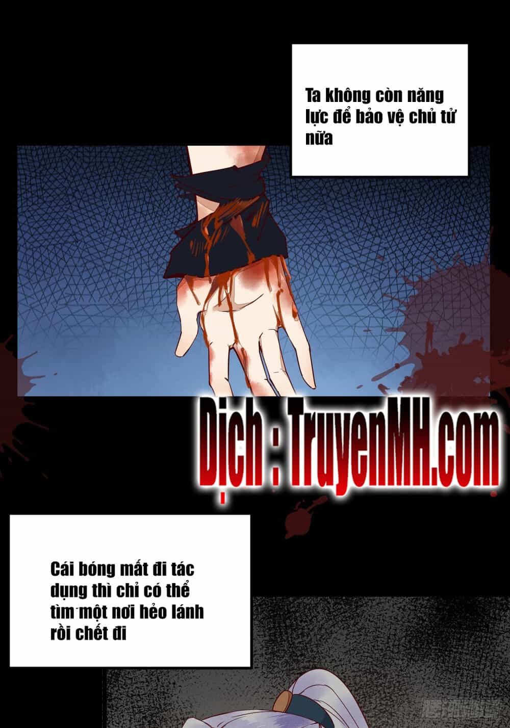 Sát Thủ Vương Phi Không Dễ Chọc - Chương 34 - ảnh 7