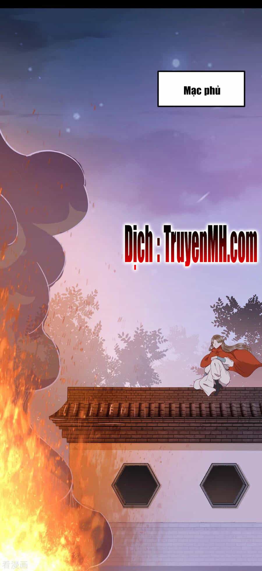 Sát Thủ Vương Phi Không Dễ Chọc - Chương 39 - ảnh 10