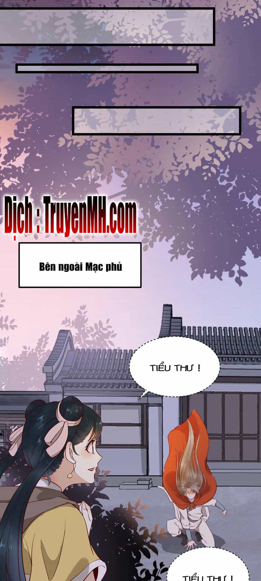 Sát Thủ Vương Phi Không Dễ Chọc - Chương 40 - ảnh 19