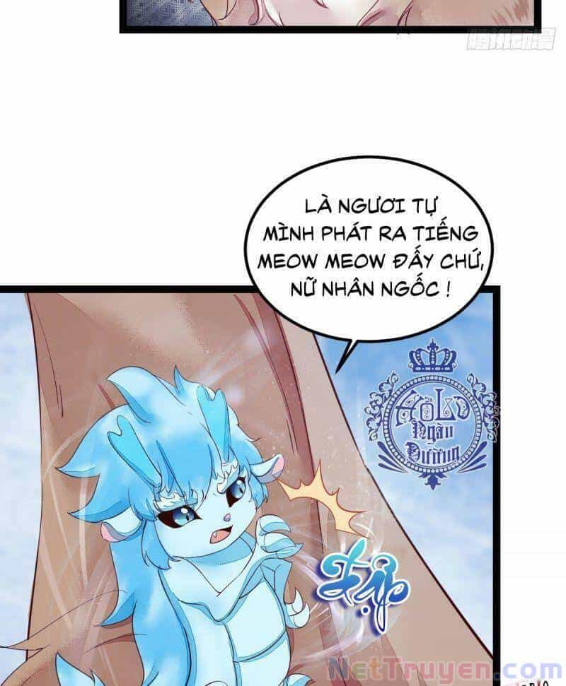 Sát Thủ Vương Phi Không Dễ Chọc - Chương 44 - ảnh 19