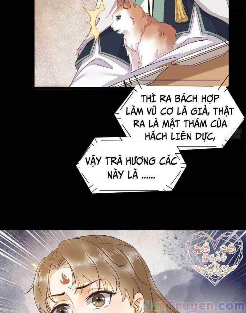 Sát Thủ Vương Phi Không Dễ Chọc - Chương 45 - ảnh 28