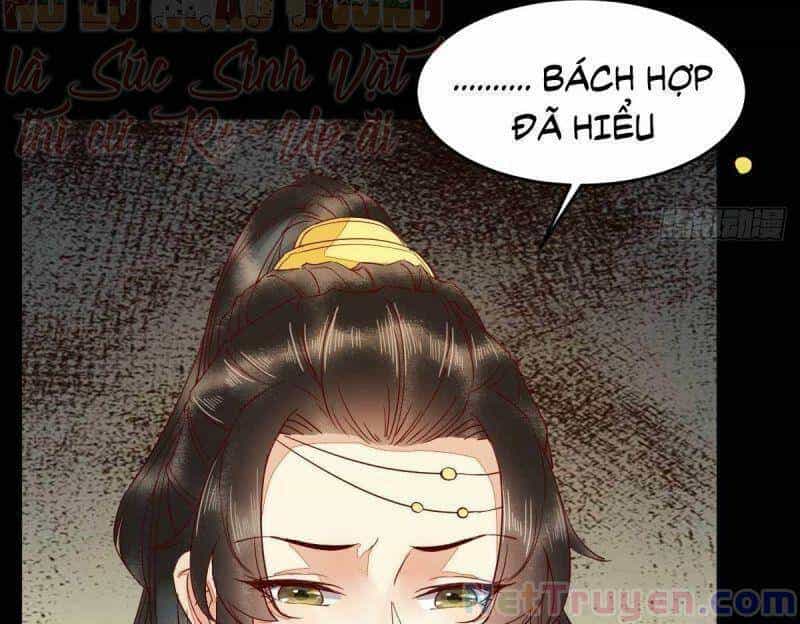 Sát Thủ Vương Phi Không Dễ Chọc - Chương 45 - ảnh 52