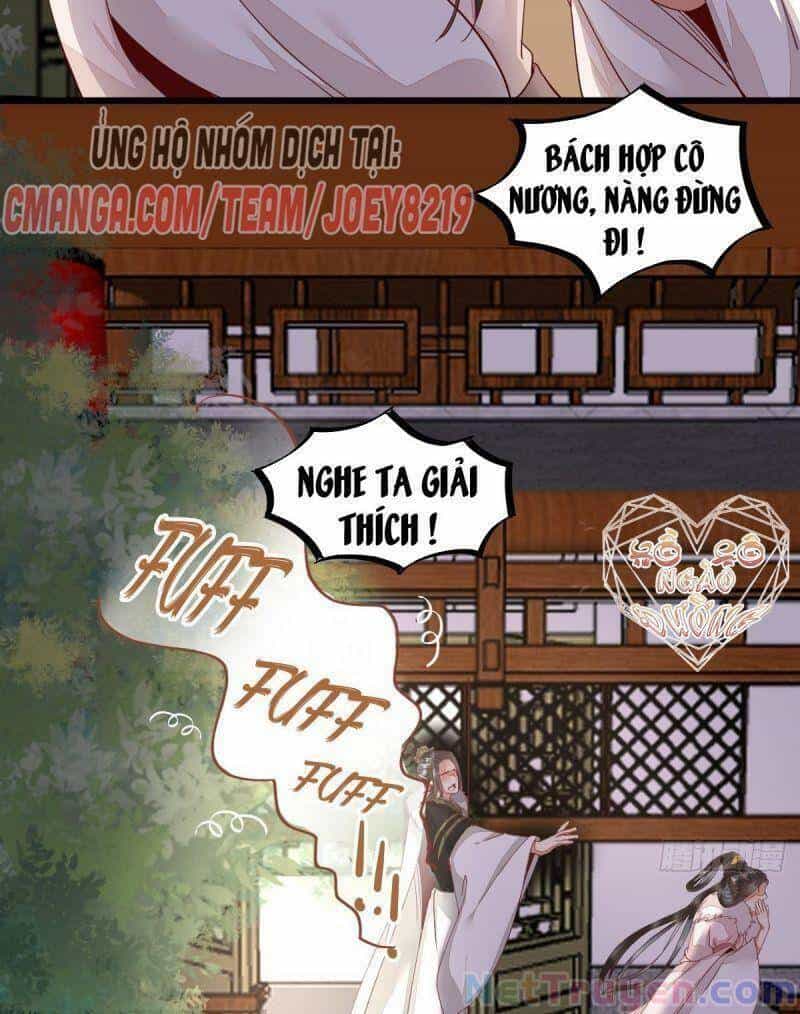 Sát Thủ Vương Phi Không Dễ Chọc - Chương 46 - ảnh 23