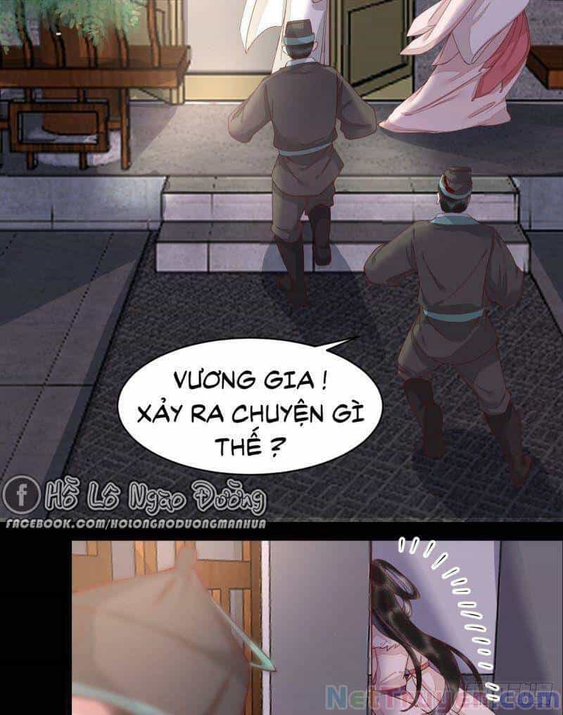 Sát Thủ Vương Phi Không Dễ Chọc - Chương 46 - ảnh 24