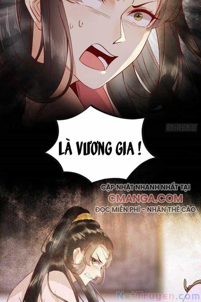 Sát Thủ Vương Phi Không Dễ Chọc - Chương 46 - ảnh 43