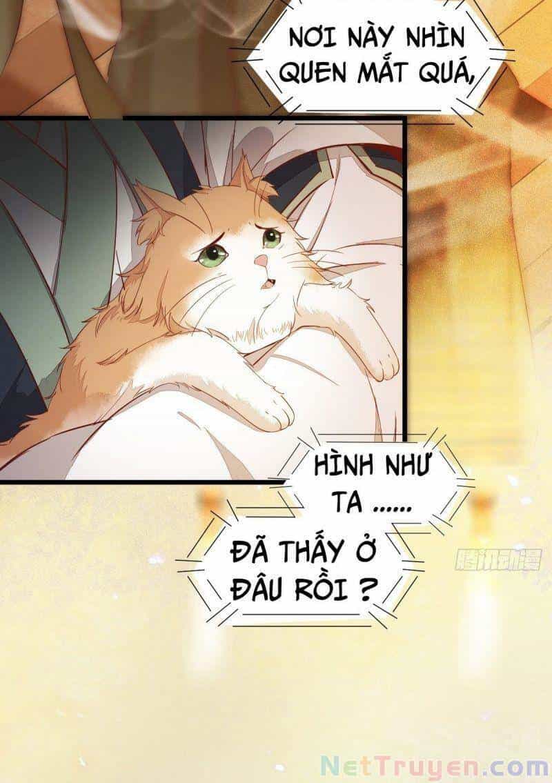 Sát Thủ Vương Phi Không Dễ Chọc - Chương 47 - ảnh 14
